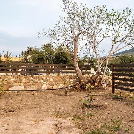 Holiday home Paradisi Stone House