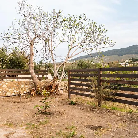 Paradisi Stone House Holiday home