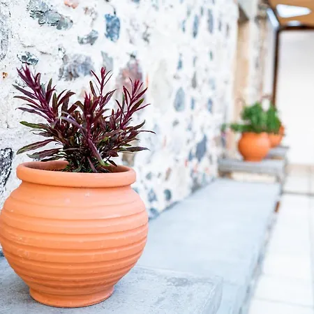 Casa vacanze Paradisi Stone House *