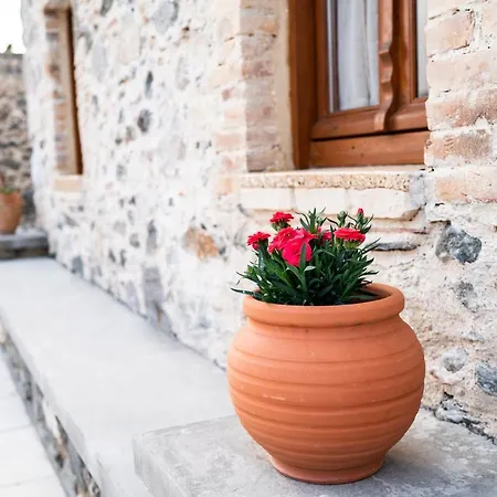 Prázdninový dům Paradisi Stone House *