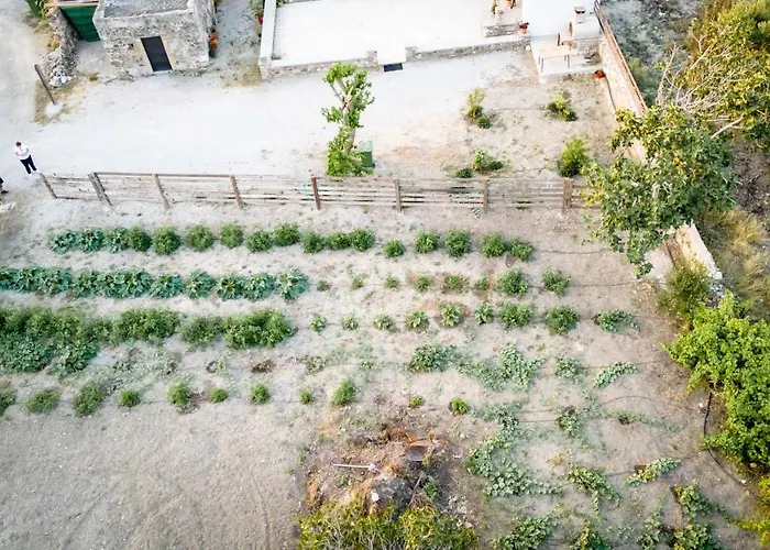 Paradisi Stone House Kos-stad